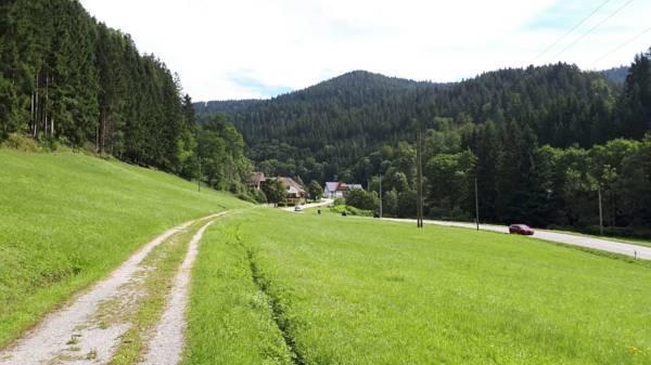Be Me Black Forest Family Apartment -Zum Letzten G'Stehr Bad Rippoldsau-Schapbach Buitenkant foto